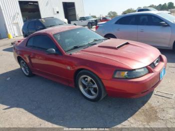  Salvage Ford Mustang