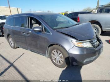  Salvage Honda Odyssey