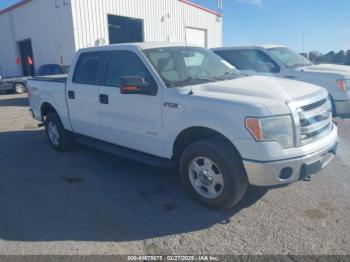  Salvage Ford F-150