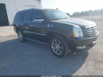  Salvage Cadillac Escalade