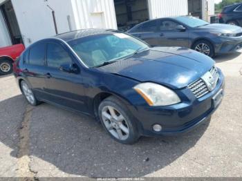  Salvage Nissan Maxima