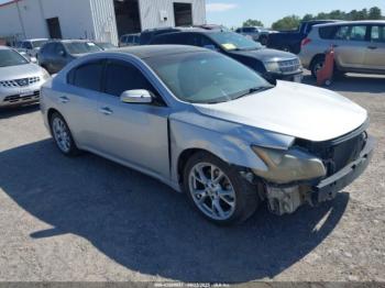  Salvage Nissan Maxima