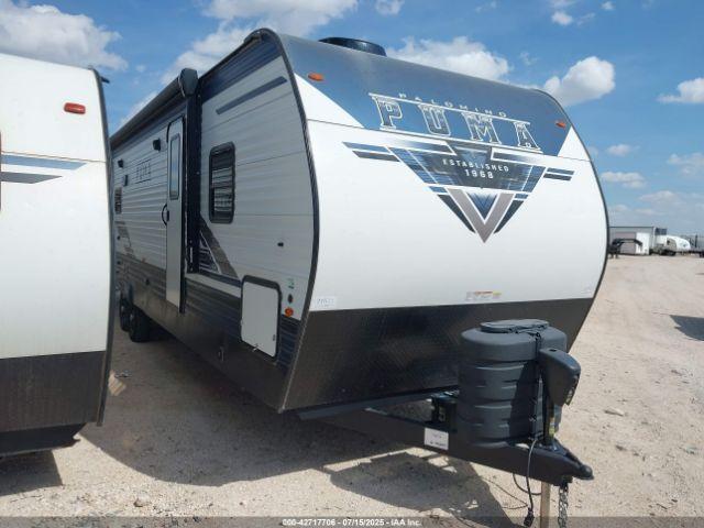  Salvage Palomino Other