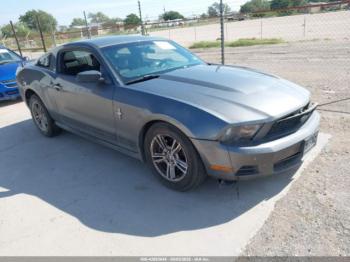  Salvage Ford Mustang